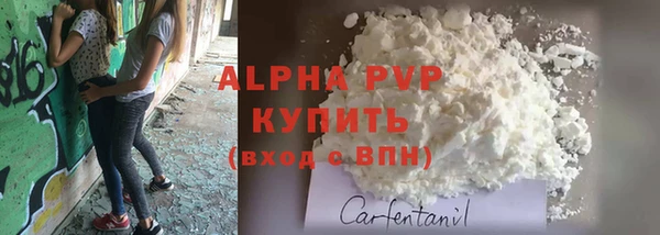 трава Корсаков