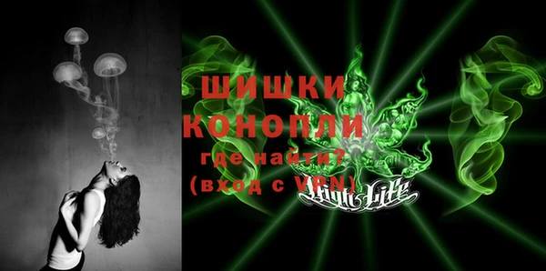 трава Корсаков