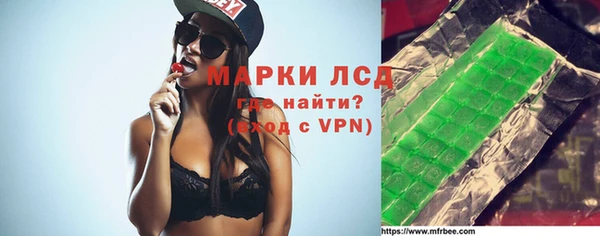 трава Корсаков