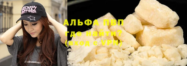 трава Корсаков