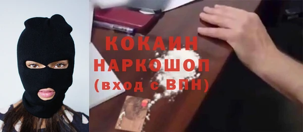 трава Корсаков