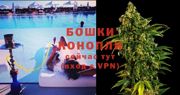 трава Корсаков