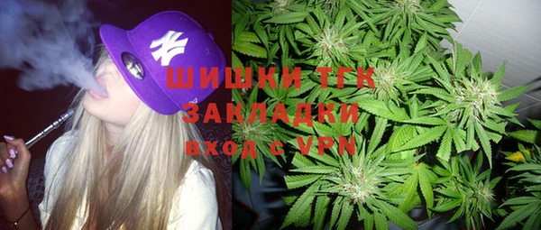 трава Корсаков