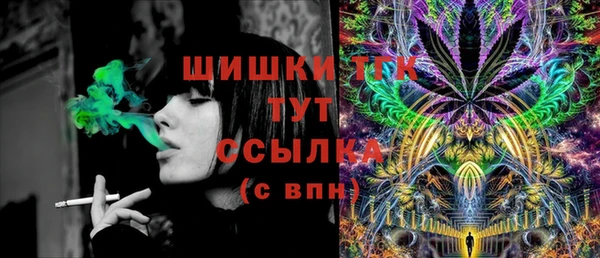 трава Корсаков