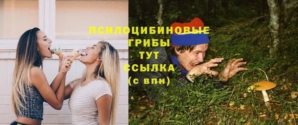 трава Корсаков