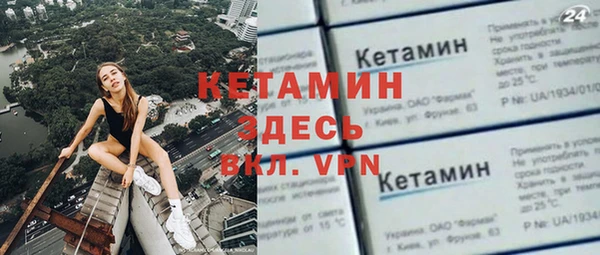 трава Корсаков
